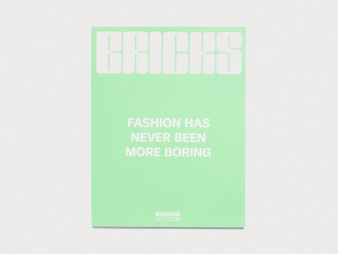 BRICKS #14 The Resilience Issue