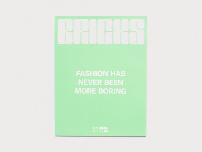 BRICKS #14 The Resilience Issue