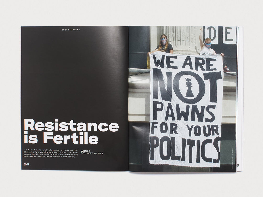 BRICKS #14 The Resilience Issue