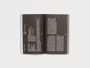 The Mountain Speaks to the Sea