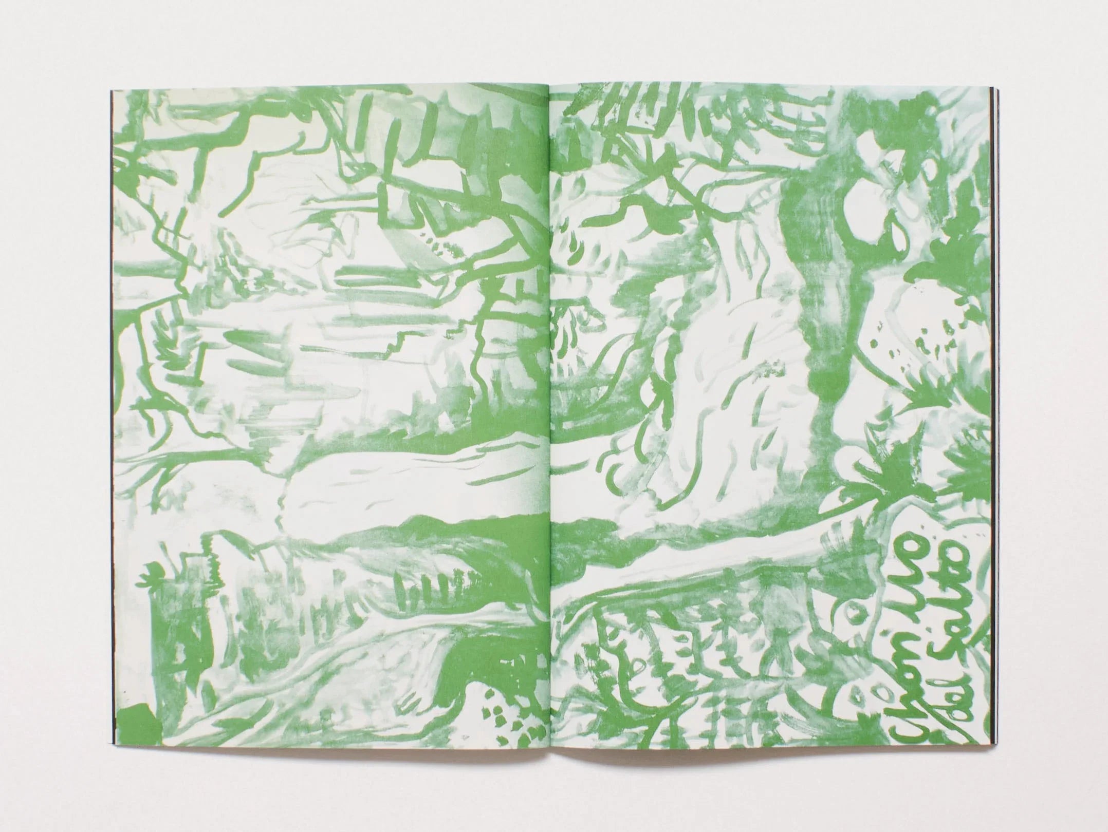 The Hills Have Crazy Eyes – Woman in a Landscape – Antenne Books