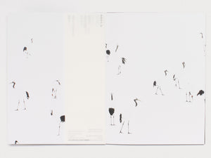 The Red-Crowned Crane & The End of the World