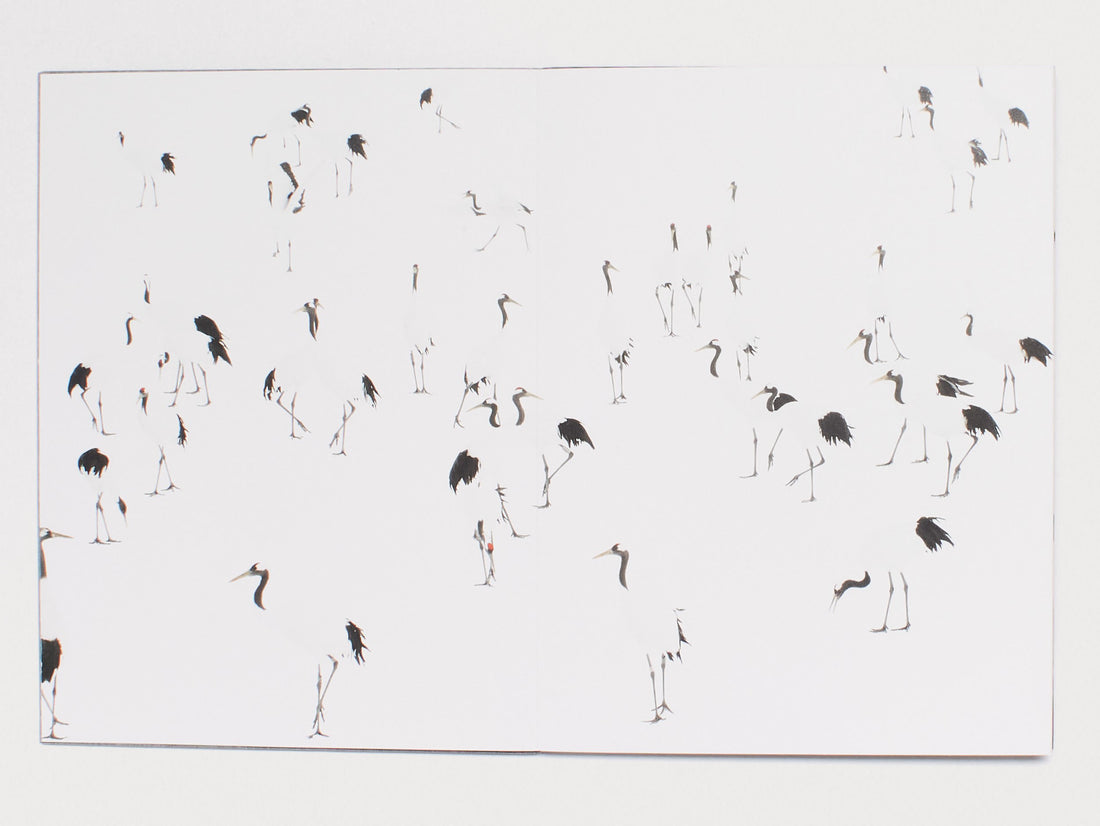 The Red-Crowned Crane & The End of the World