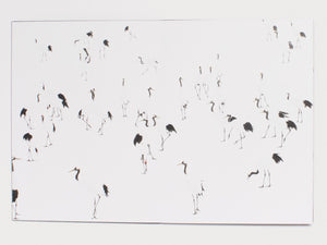 The Red-Crowned Crane & The End of the World