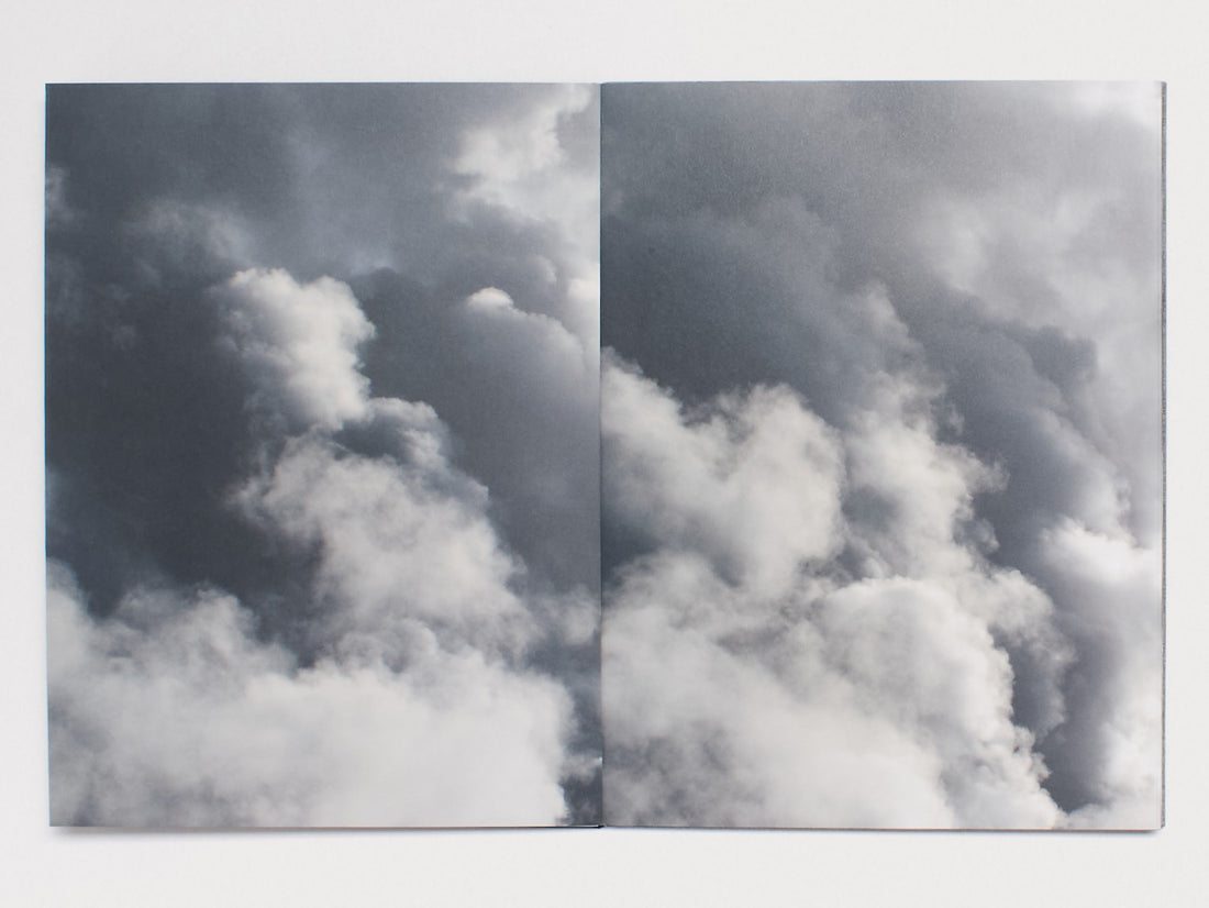 The Red-Crowned Crane & The End of the World