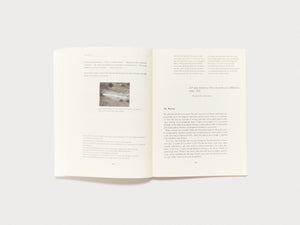 n+1 Magazine Issue 50: HARSH REALM