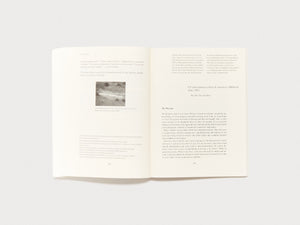 n+1 Magazine Issue 50: HARSH REALM