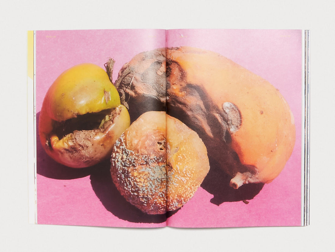 dhoop magazine Issue 3