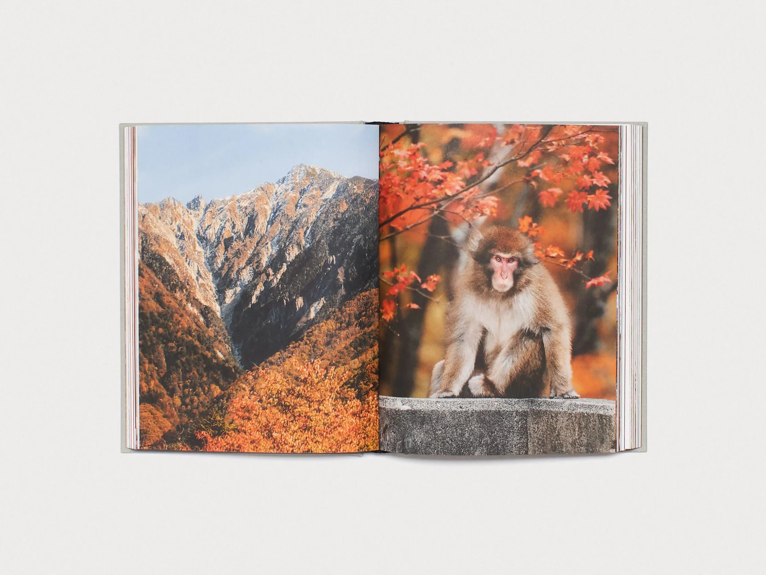 Views from Japan – Antenne Books