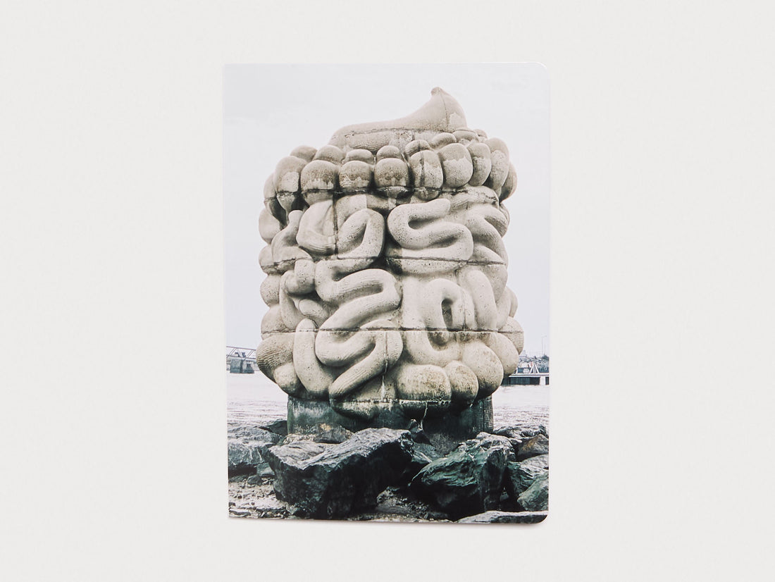 Le pied, le pull-over et le système digestif