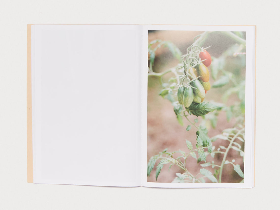 Please take your shoes off and come in