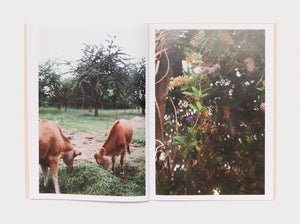 Please take your shoes off and come in