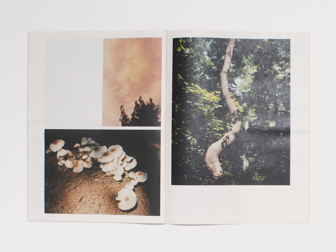 Blue Moon Magazine Issue 9