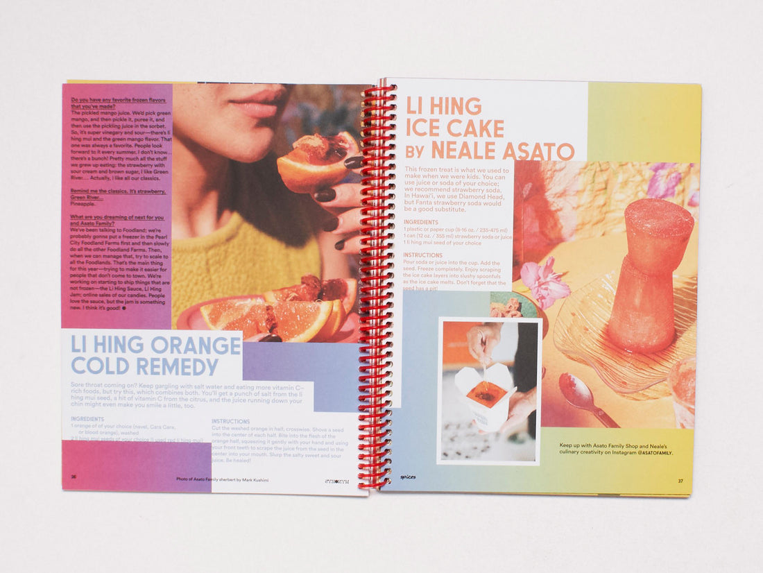 SYNONYM MAGAZINE ISSUE 03: SPICES