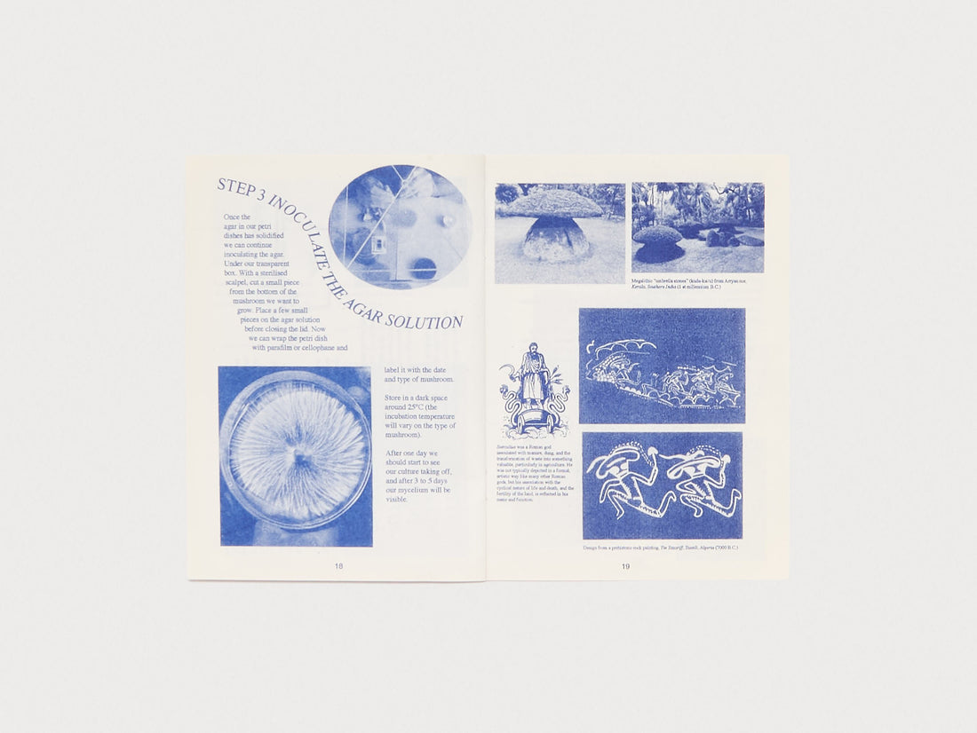 How To Make Objects With Mycelium