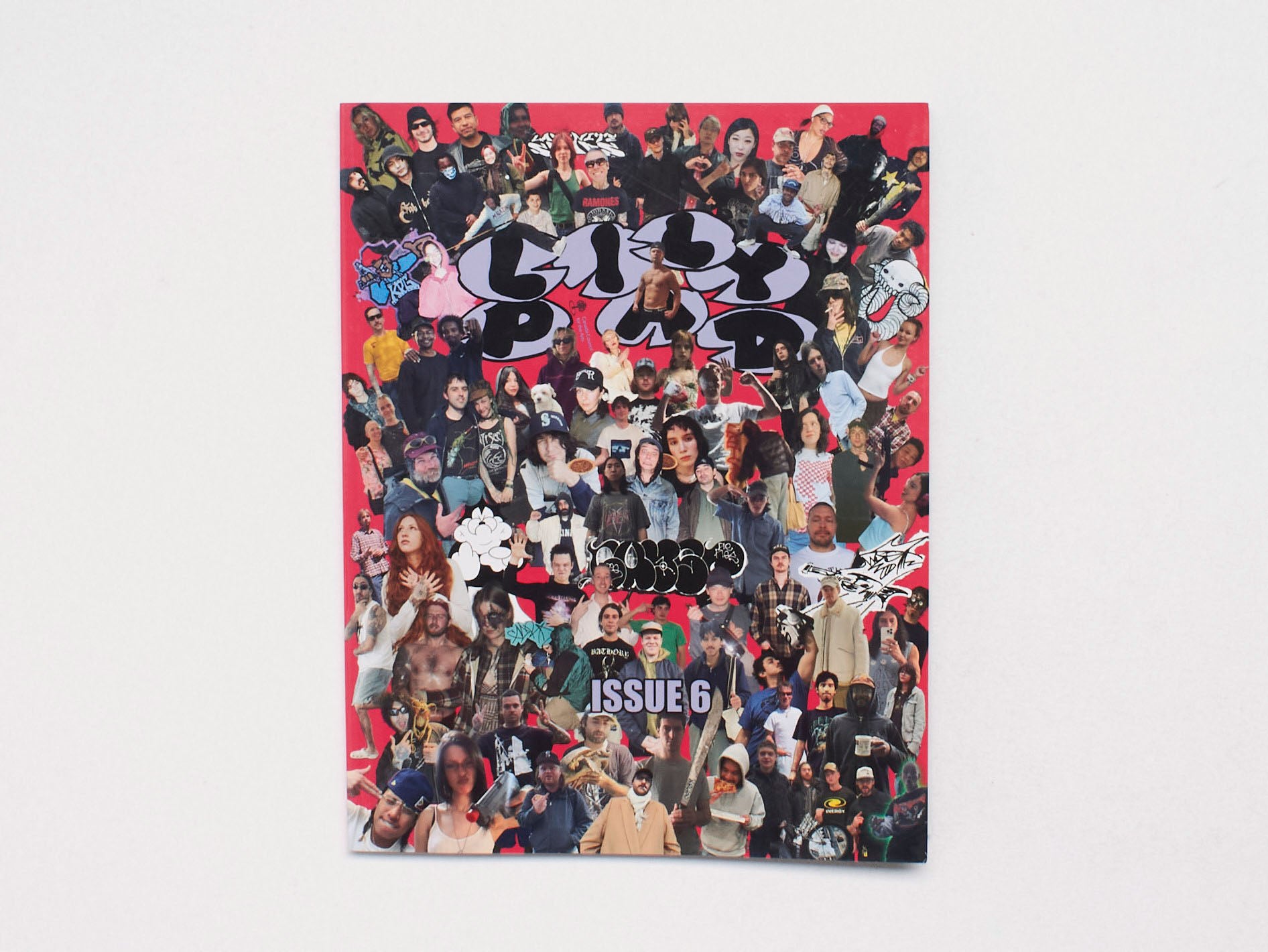 LILY PAD MAGAZINE ブラウン　lilypad LILY PAD MAGAZINE ブラウン lilypad BEAMS T（ビームスT）LILY PAD