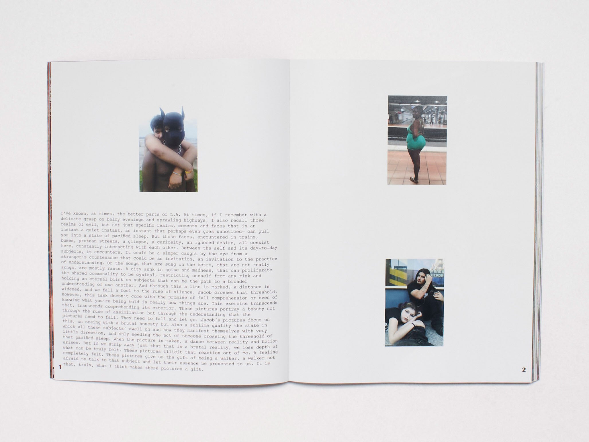 Lilypad Issue 6 – Antenne Books