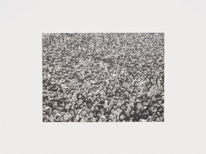 本能, Instinct. S33MBA