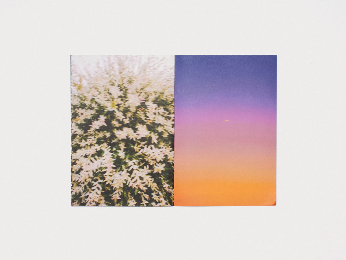 本能, Instinct. S33MBA