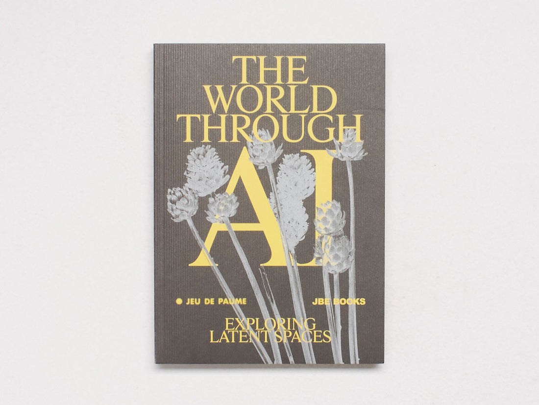 The World Through AI, Exploring Latent Spaces
