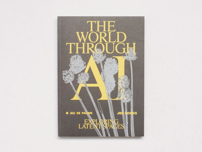 The World Through AI, Exploring Latent Spaces