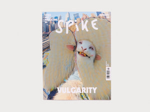 Spike Art Magazine #84 Vulgarity