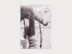 ALL–IN Nº8, Fan Fiction