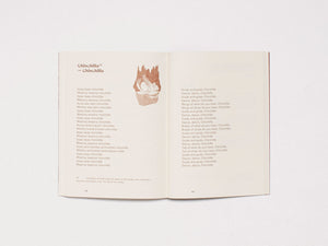 KIRKI QHAÑI – Container of Andean Poetics