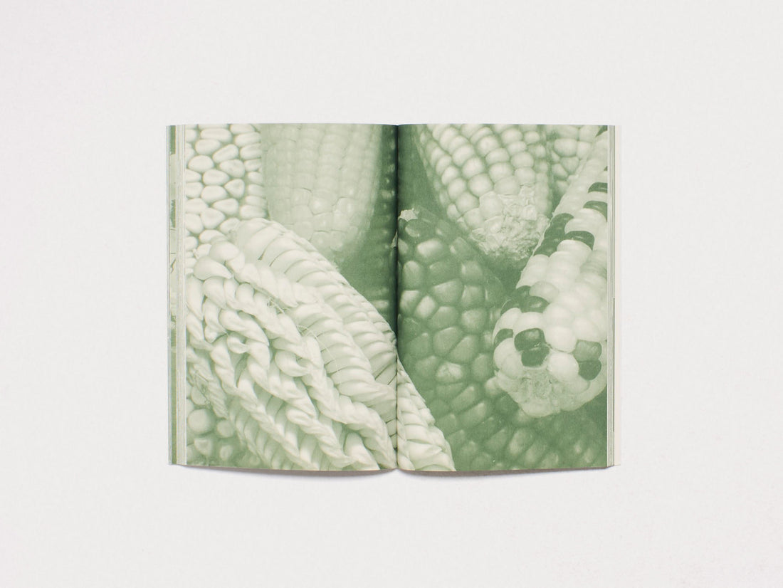 Contra el Bien General