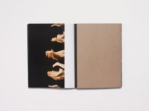 Voices, Communities, Ecologies