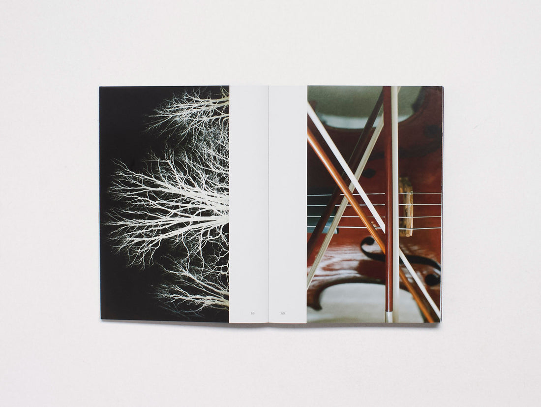 Voices, Communities, Ecologies