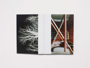 Voices, Communities, Ecologies