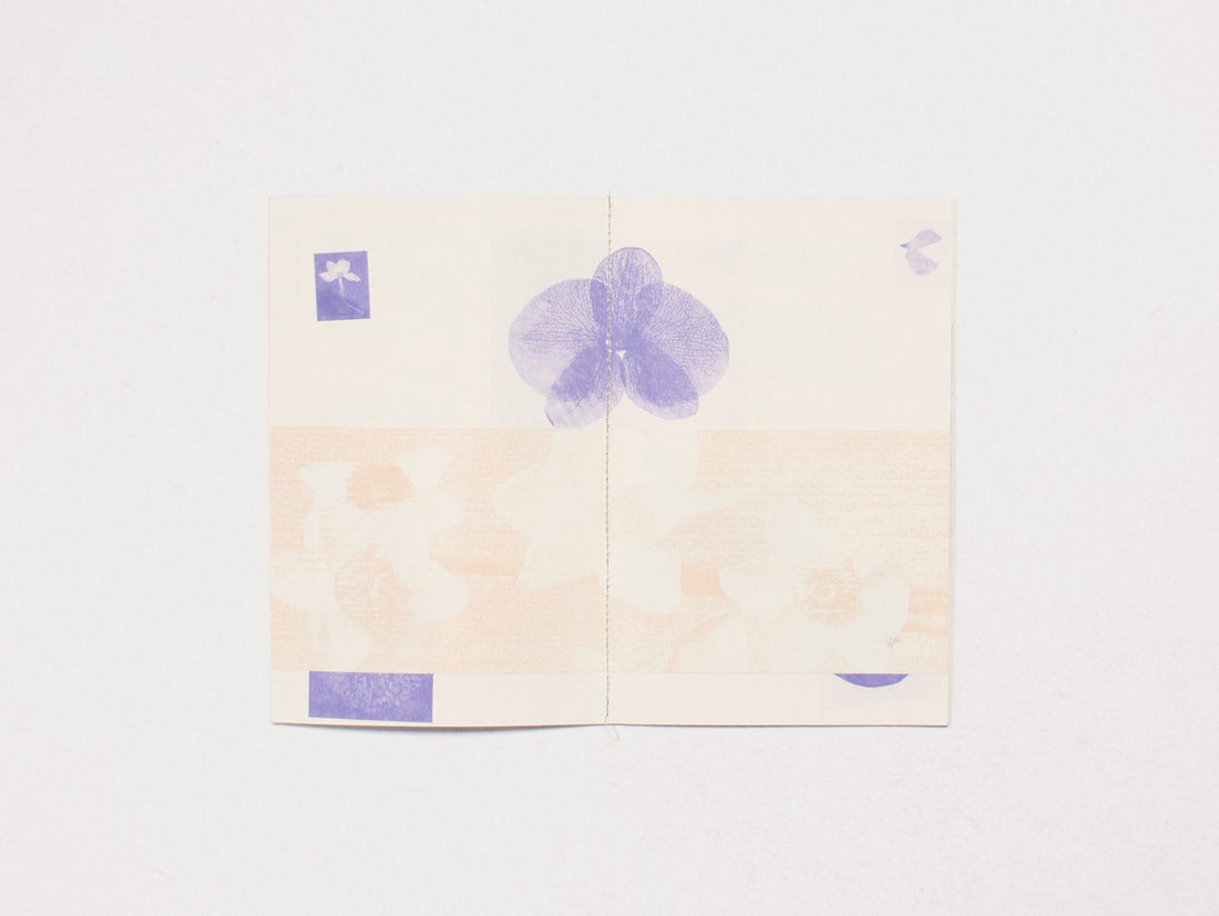 Seedlin: The Flower Issue