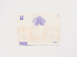 Seedlin: The Flower Issue