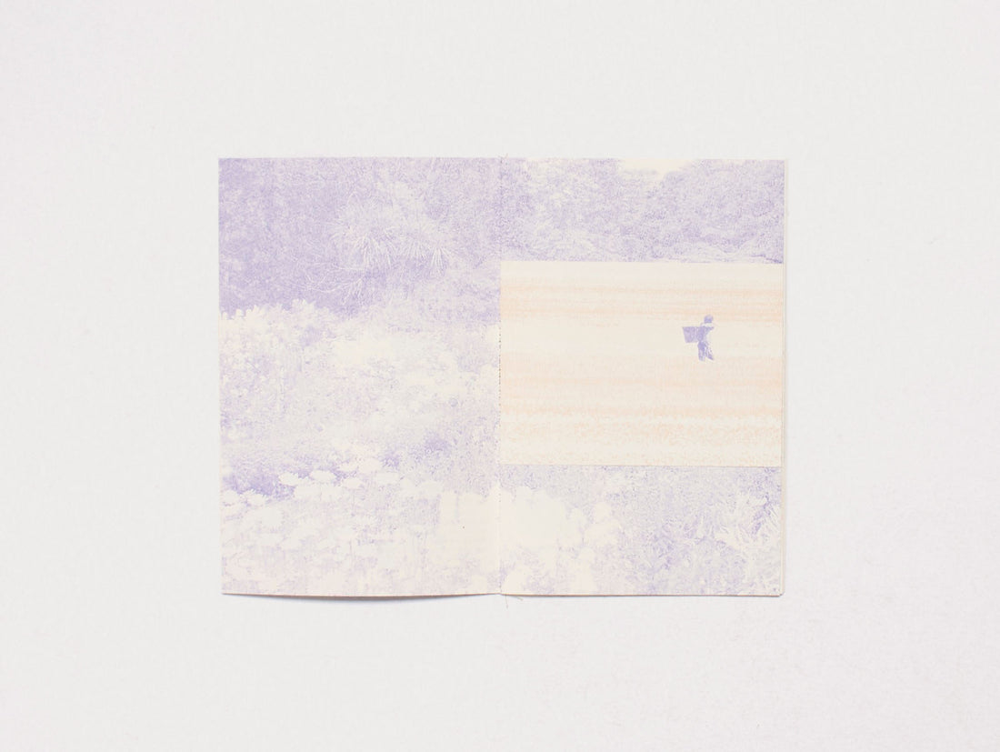 Seedlin: The Flower Issue