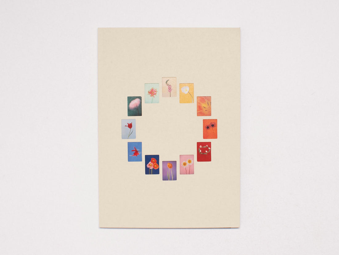 The Chromatics of Flowers