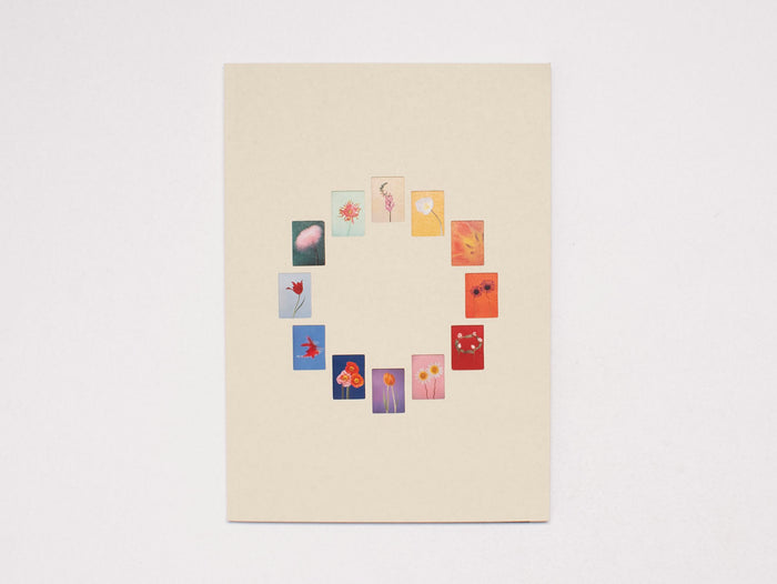 The Chromatics of Flowers