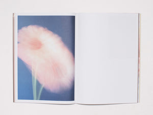 The Chromatics of Flowers