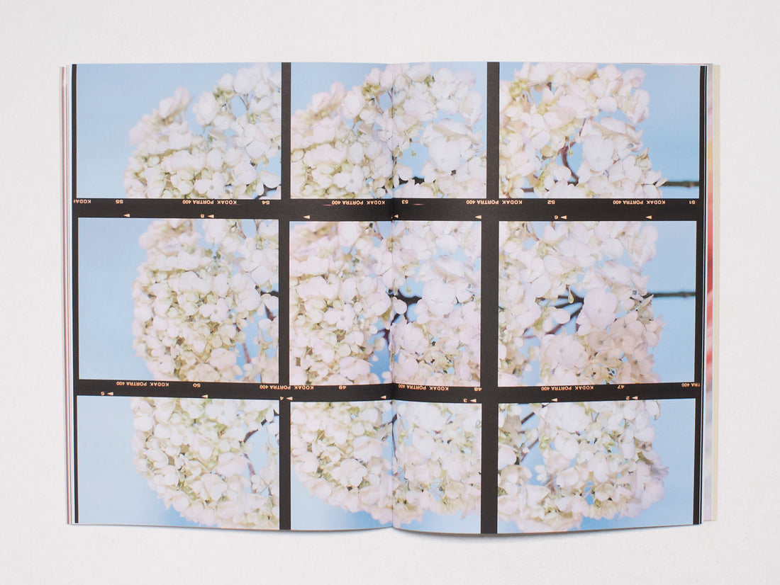 The Chromatics of Flowers