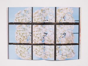 The Chromatics of Flowers