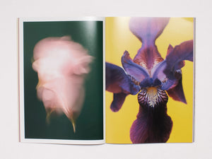 The Chromatics of Flowers