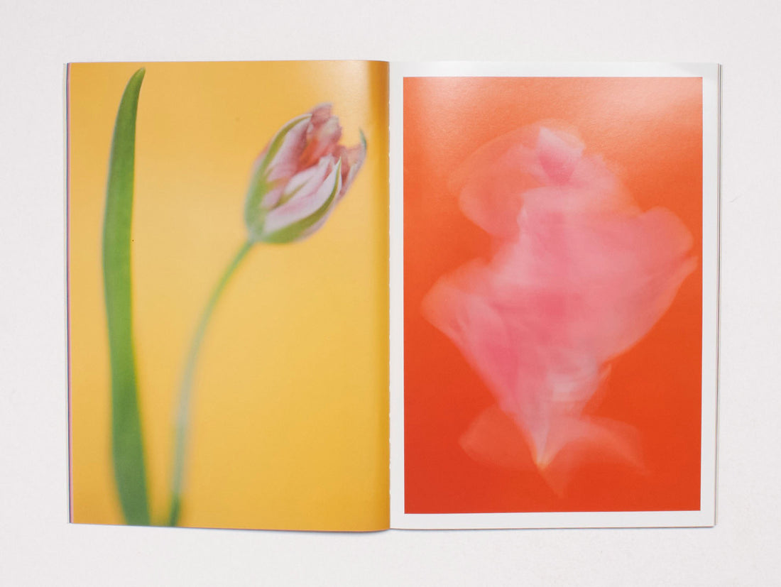 The Chromatics of Flowers