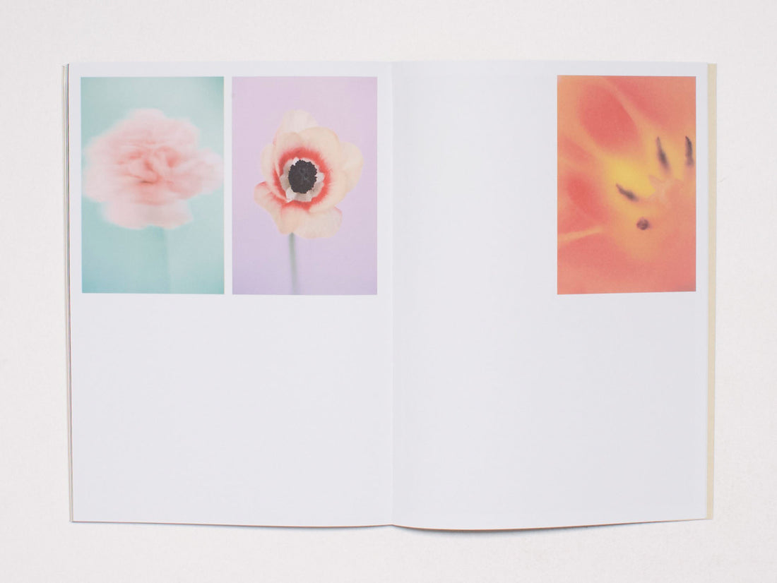 The Chromatics of Flowers