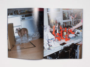 The NEW ORDER ISSUE 35: ON YOUR OWN