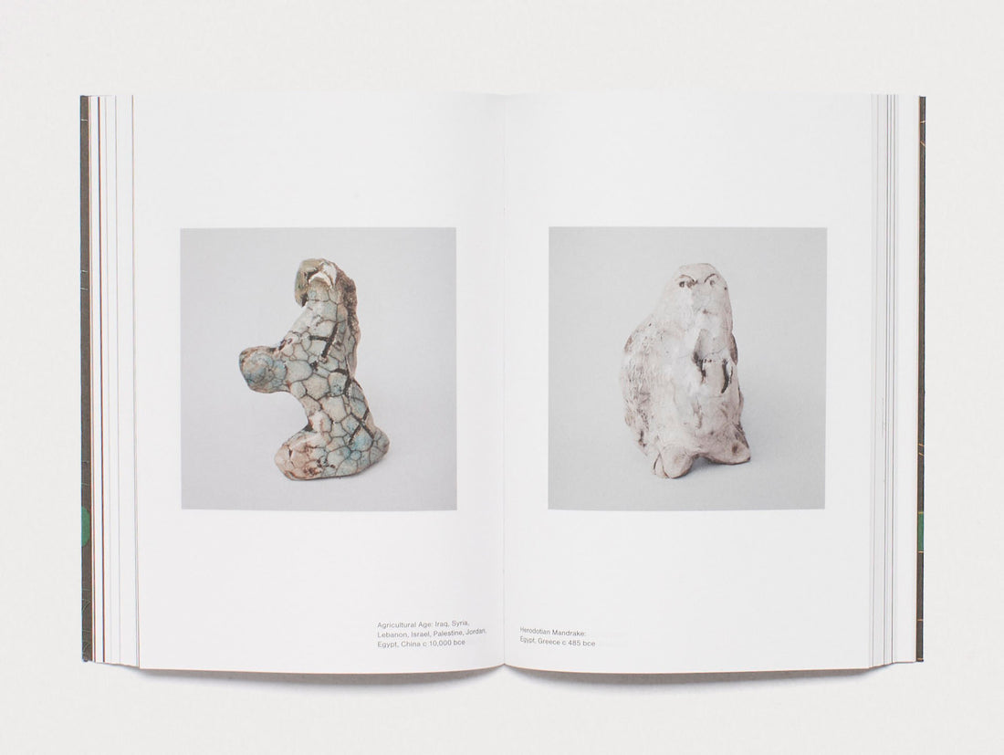 Ricochet - Cultural Epigenetics and the Philosophy of Change