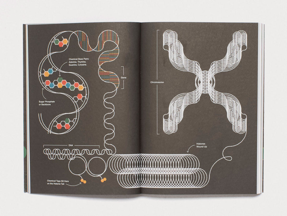 Ricochet - Cultural Epigenetics and the Philosophy of Change