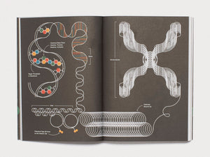 Ricochet - Cultural Epigenetics and the Philosophy of Change