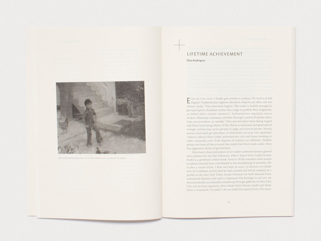 n+1 Magazine Issue 51: FORCE MAJEURE