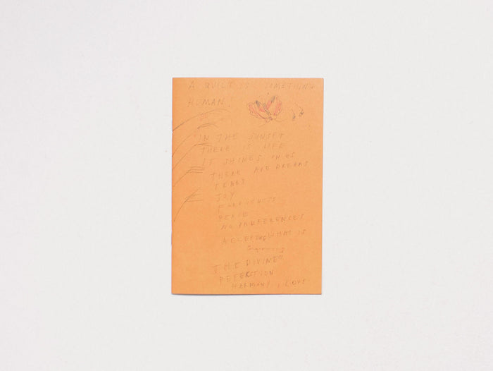 In the Sunset – There Is Life – It Shines on Us