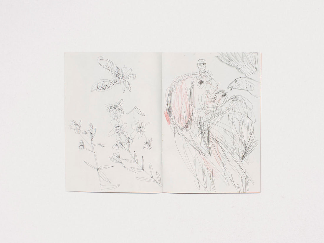 In the Sunset – There Is Life – It Shines on Us